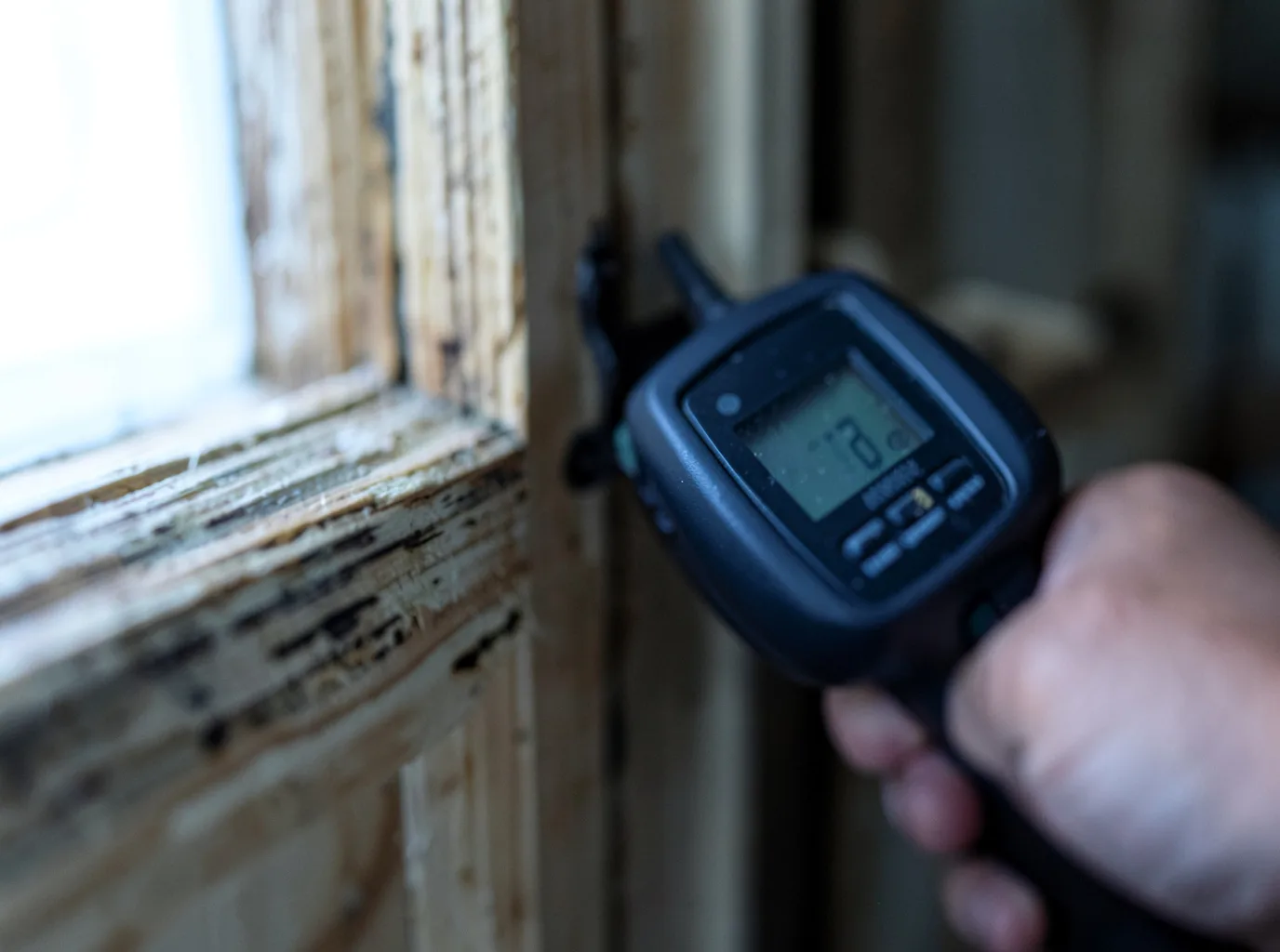 Commercial Water Damage Restoration in Dadeville, MO
